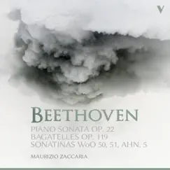 Piano Sonata No. 11 in B-Flat Major, Op. 22: II. Adagio con moto Song Lyrics