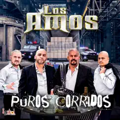 Puros Corridos by Los Amos album reviews, ratings, credits