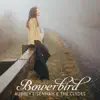 Bowerbird album lyrics, reviews, download