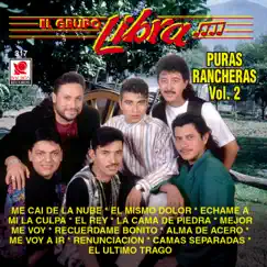 Puras Rancheras Vol. 2 by Grupo Libra album reviews, ratings, credits