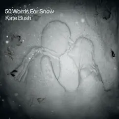 50 Words for Snow by Kate Bush album reviews, ratings, credits