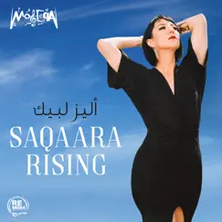 Saqaara (feat. Mahmoud Eltohamy) Song Lyrics