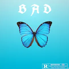 BAD (feat. Love) - Single by BSD album reviews, ratings, credits