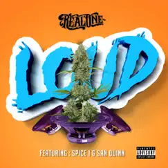 Loud (feat. San Quinn & Spice 1) - Single by Real One album reviews, ratings, credits