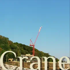Hooping Cranes Song Lyrics