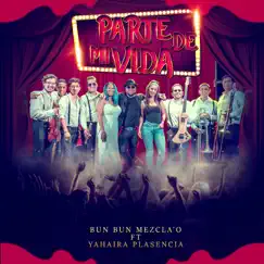 Parte de Mi Vida (feat. Yahaira Plasencia) - Single by Bun Bun Mezcla'o album reviews, ratings, credits