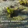 Alluvial Forest Water Stream - EP album lyrics, reviews, download