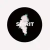 Spirit - Single album lyrics, reviews, download