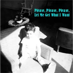 Please, Please, Please, Let Me Get What I Want Song Lyrics
