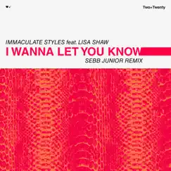 I Wanna Let You Know (feat. Lisa Shaw) [Sebb Junior Remix Radio Edit] Song Lyrics