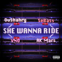 She Wanna Ride (feat. Ak Mars & VNO) Song Lyrics