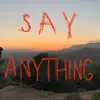 Say Anything - Single album lyrics, reviews, download