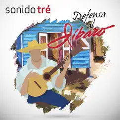 Defensa al Jíbaro (En Vivo) Song Lyrics