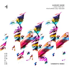 Already Know (feat. Caly Bevier) [Cinematic Remix] - Single by Adventure Club & Said the Sky album reviews, ratings, credits