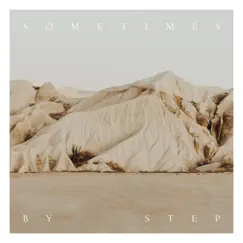 Sometimes By Step - Single by Shane & Shane album reviews, ratings, credits