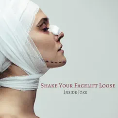 Shake Your Facelift Loose - Single by Inside Joke album reviews, ratings, credits