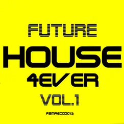 Future House 4ver, Vol. 1 by Jordan Rivera album reviews, ratings, credits