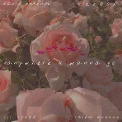 Anywhere U Wanna Go (feat. Cr00k, David Entendu & Salem Avenue) - Single by Lilsp00k album reviews, ratings, credits