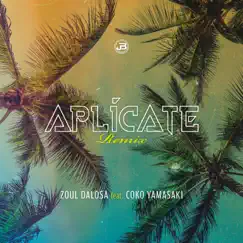 Aplícate (Remix) [feat. Coko Yamasaki] - Single by ZOUL DALOSA album reviews, ratings, credits
