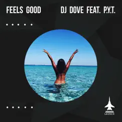 Feels Good (feat. P.Y.T.) [Radio Edit] Song Lyrics