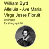 William Byrd - Alleluia Ave Maria Virga Jesse Floruit arranged for string quintet song lyrics