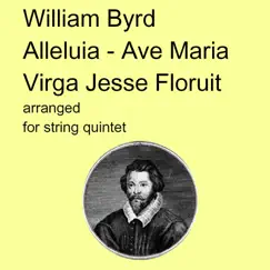 William Byrd - Alleluia Ave Maria Virga Jesse Floruit arranged for string quintet Song Lyrics