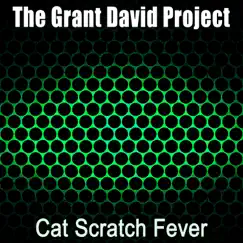 Cat Scratch Fever (Radio Edit) Song Lyrics