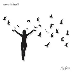 Fly Free (feat. Syk & BAH) Song Lyrics