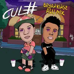 Culo (feat. Alu Mix) - Single by Dj Bryan Kingz album reviews, ratings, credits