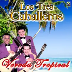 Vereda Tropical Song Lyrics