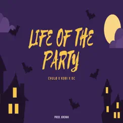 Life of the Party (feat. Kobi & DC) Song Lyrics