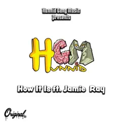 How It Is (feat. Jamie Ray) Song Lyrics