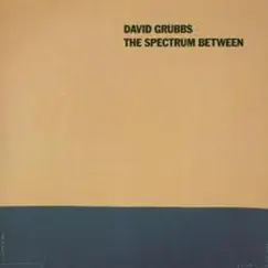 The Spectrum Between by David Grubbs album reviews, ratings, credits