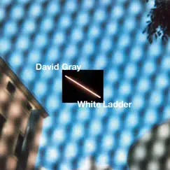 White Ladder (2020 Remaster) by David Gray album reviews, ratings, credits