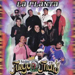 La Planta Song Lyrics