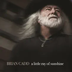 A Little Ray of Sunshine - Single by Brian Cadd album reviews, ratings, credits