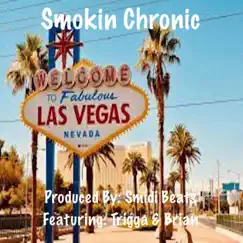 Smokin Chronic (feat. Trigga G & Brian B) - Single by Smidi Beats album reviews, ratings, credits