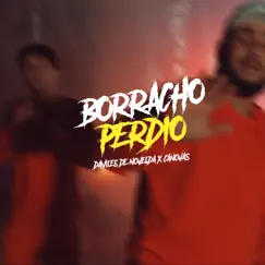 Borracho Perdió Song Lyrics