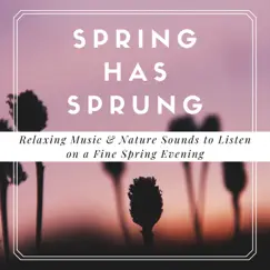 Spring Has Sprung - Relaxing Music & Nature Sounds to Listen on a Fine Spring Evening by Essence Reliford album reviews, ratings, credits