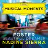 Foster: Beautiful Dreamer (Arr. Coughlin for Voice and Orchestra) [Musical Moments] - Single album lyrics, reviews, download