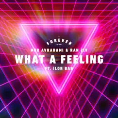 What a Feeling (feat. Ilor Bar) [Radio Edit] Song Lyrics