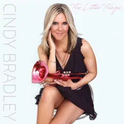 The Little Things by Cindy Bradley album reviews, ratings, credits