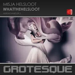 WhatTheHelsloot (Album sampler 2) - EP by Misja Helsloot album reviews, ratings, credits