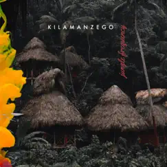 Jungle Frequency - Single by Kilamanzego album reviews, ratings, credits