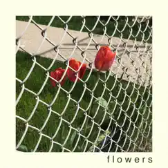 Flowers - Single by Use Your Atlas album reviews, ratings, credits