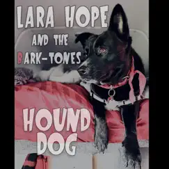 Hound Dog Song Lyrics