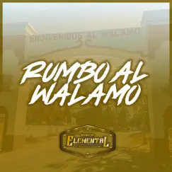 Rumbo al Walamo - Single by Banda Elemental de Mazatlán Sinaloa album reviews, ratings, credits