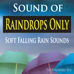 Just Raindrops (Loopable, No Fades) Song Lyrics