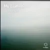 Me Llamas - Single album lyrics, reviews, download