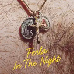 In the Night - Single by Ferla album reviews, ratings, credits